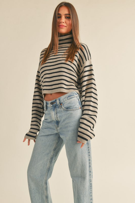 Striped Turtle Neck Sweater